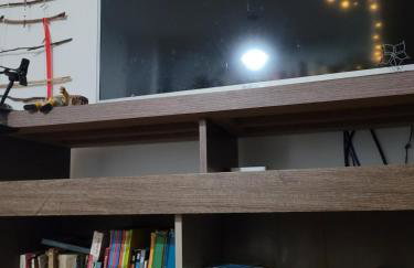 APT espaçoso para o Carnaval - Foto 10