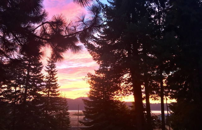 Mountain Pine Cabin - Sleeps 6 - Pet Friendly - Foto 1