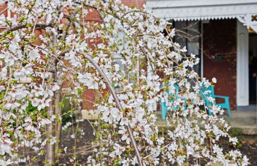 Perfect Retreat In the Heart of Louisville - Foto 60