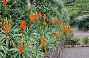 Sítio da Assumada - Foto 53