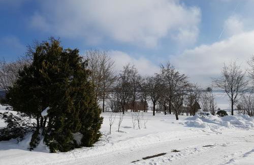 Ferienwohnung Schneifelsicht - Foto 16