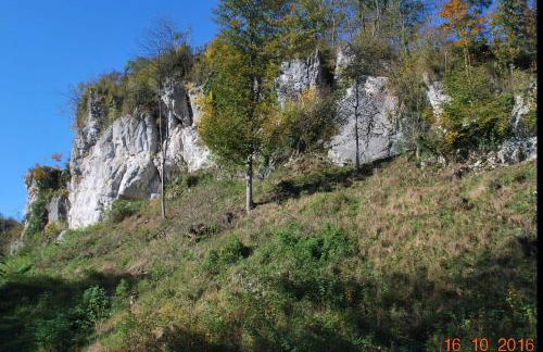 Ferienwohnung Resch Schweinberg - Foto 4