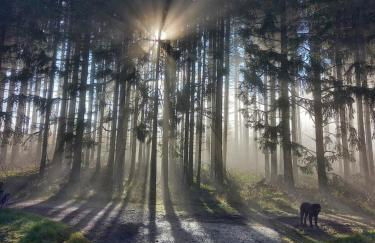 Ferienwohnung Kessler's Eifeldomizil - Foto 44