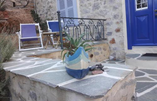 Hydra Erato - Foto 46