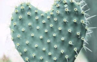 Silence's Cave Rural House - Foto 69