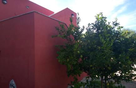 Olmedo Casa Vacanze - Foto 23