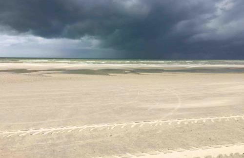 Les Bleuets - Foto 37