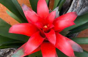 Morada dos Butiás - Photo 23