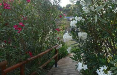 Les Ecrins d'Aix-en-Provence - Foto 58