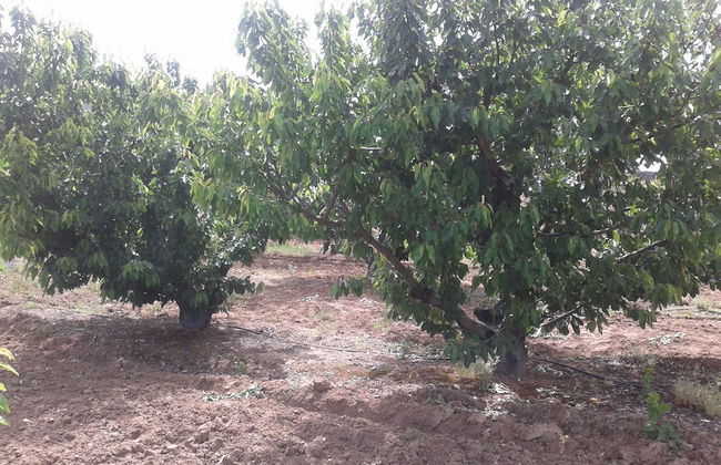 Casa Rural la Vallejera - Photo 30