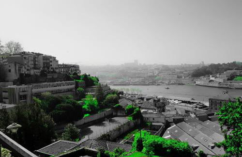 A Ilha do Lindo Vale - Foto 17