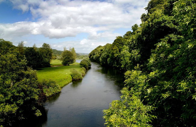 Garden Cottage - Photo 15
