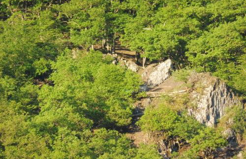 Apartment Chalet Wiedfluh in Waldbreitbach by Interhome - Foto 35