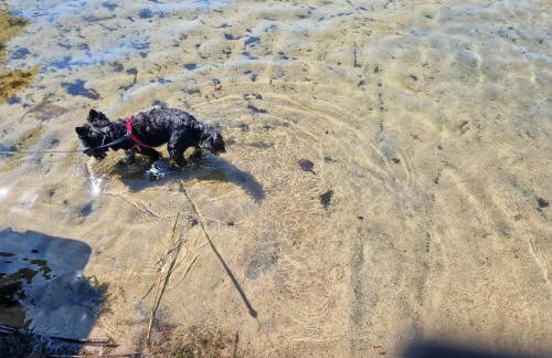 Starkowo pod lasem - Foto 37