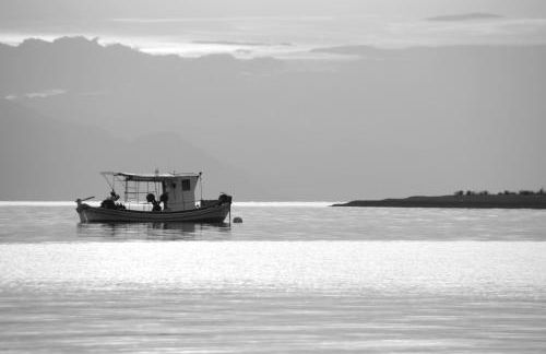 Heracles Guesthouse - Photo 48