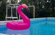 Podere la Vigna - Piscina e barbecue - Foto 33