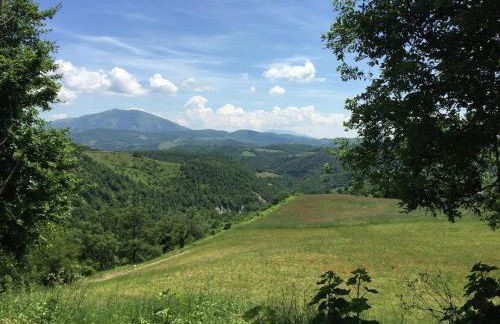 Farmhouse in Apecchio With Swimming Pool, Terrace, Garden - Foto 112