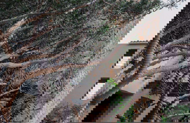 APARTMENT 3BR OCEAN VIEW 1531 - Foto 19