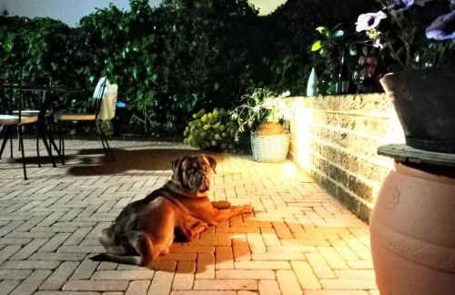 Tratturo dei Greci, biocasa vacanza - Foto 7