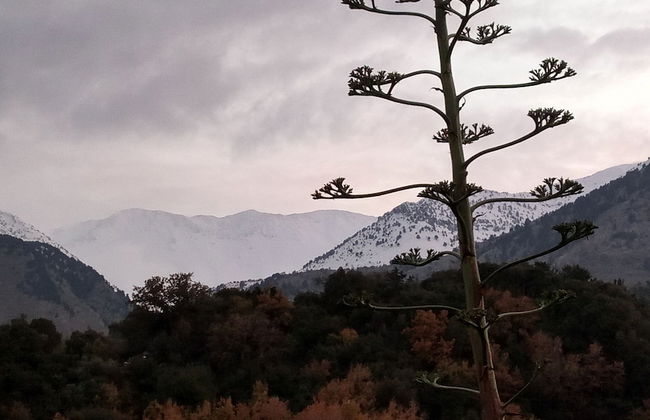 Villa Kastania - Foto 37