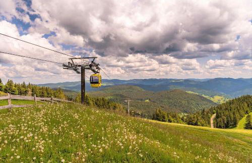 Ferienwohnung Bergzauber Schwarzwald - Foto 20