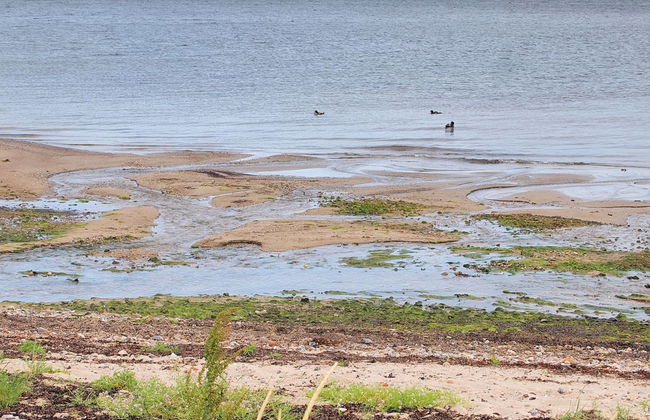 "Melia" - 50m to the fjord - Foto 18