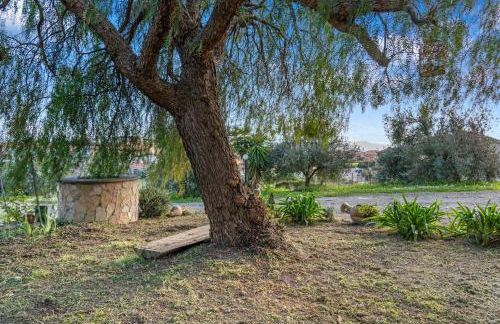 Bruna's House - Foto 22