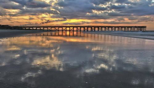 Green Whale - Foto 4