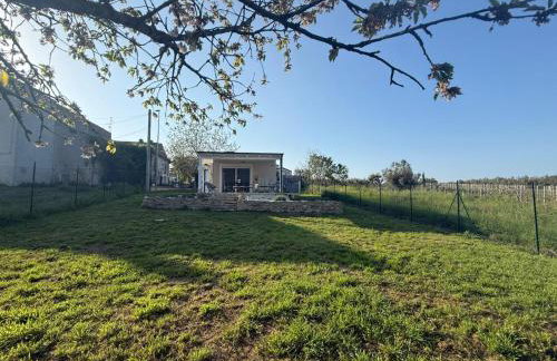 Casa Gabbiano - Photo 23