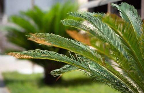 Crist Luxury Apartments - Foto 31