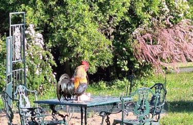 Kleine einzigartige Ferienwohnung auf dem Bauernhof, direkt in der Natur mit Blick auf Schloss Braunfels - Foto 44