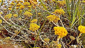 no.21house studio apartment - Foto 3