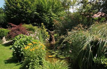 Ferienwohnungen Gästehaus Schreiner - Foto 26