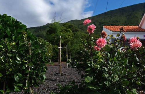 Sunflower Guest House - Madalena - Pico - Photo 15