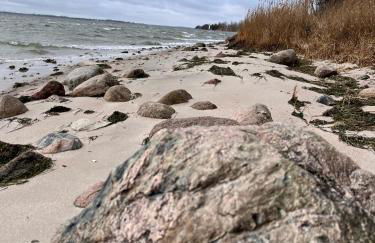 Familienurlaub im Hus in de Sünn - Foto 21