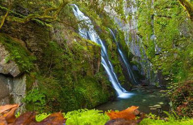 Casa do Terreiro - Foto 12