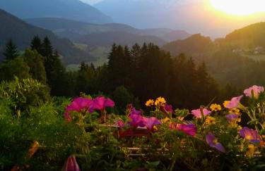 Natur Apartments Riesen - Photo 75