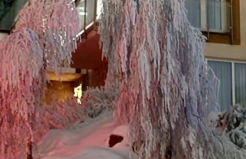 Czarna Góra Apartament 319 - Foto 47