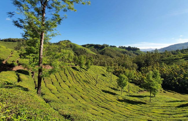 Tour privato delle cascate di Munnar in 4x4 - Foto 3