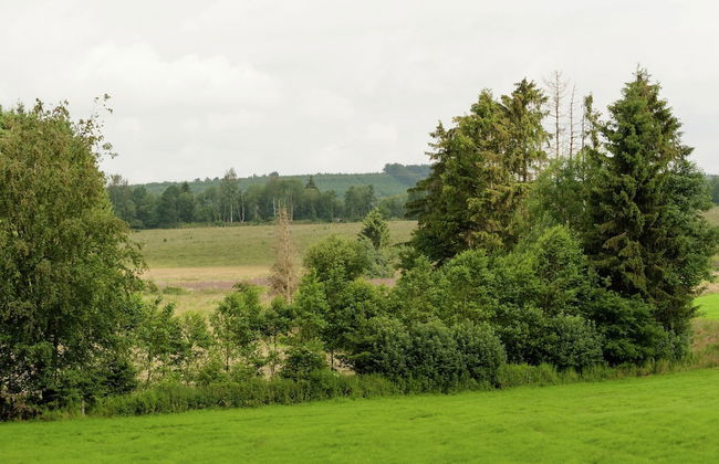 Holiday Home in Deiffelt Near Forest - Photo 37