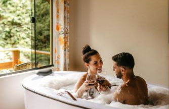 Chalé Portal Lazer Propriedade Inteira - Photo 5