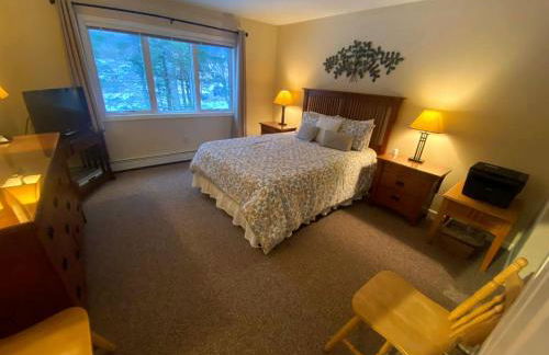 FV50 Pet friendly single level home in Bretton Woods walk to golf course and Mt Washington Hotel - Foto 14