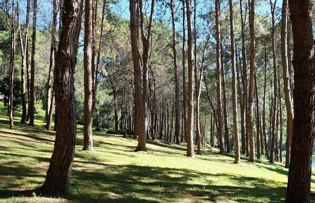 Fatima and Tomar Full Day Private Tour from Lisbon - Photo 31