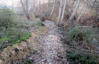 Esmeraldas Vivienda Rural - Foto 54