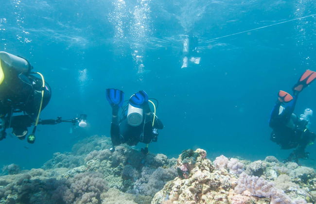Mergulho em Pattaya - Foto 1