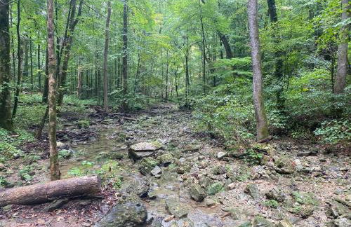 Blue Hole at Pigeon Mtn Wildlife Mgmt Area - Foto 50