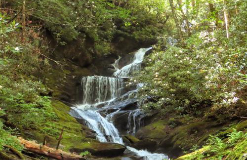 Treetops Cabin easy to Asheville with fast wifi and great view - Foto 35
