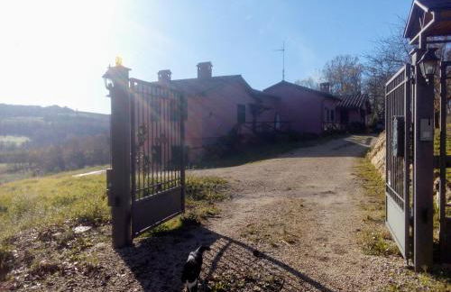 L'Albero degli Struzzi - Foto 2