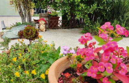 4 Seasons House - Foto 40