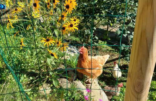 Gîte du ruisseau - Foto 18